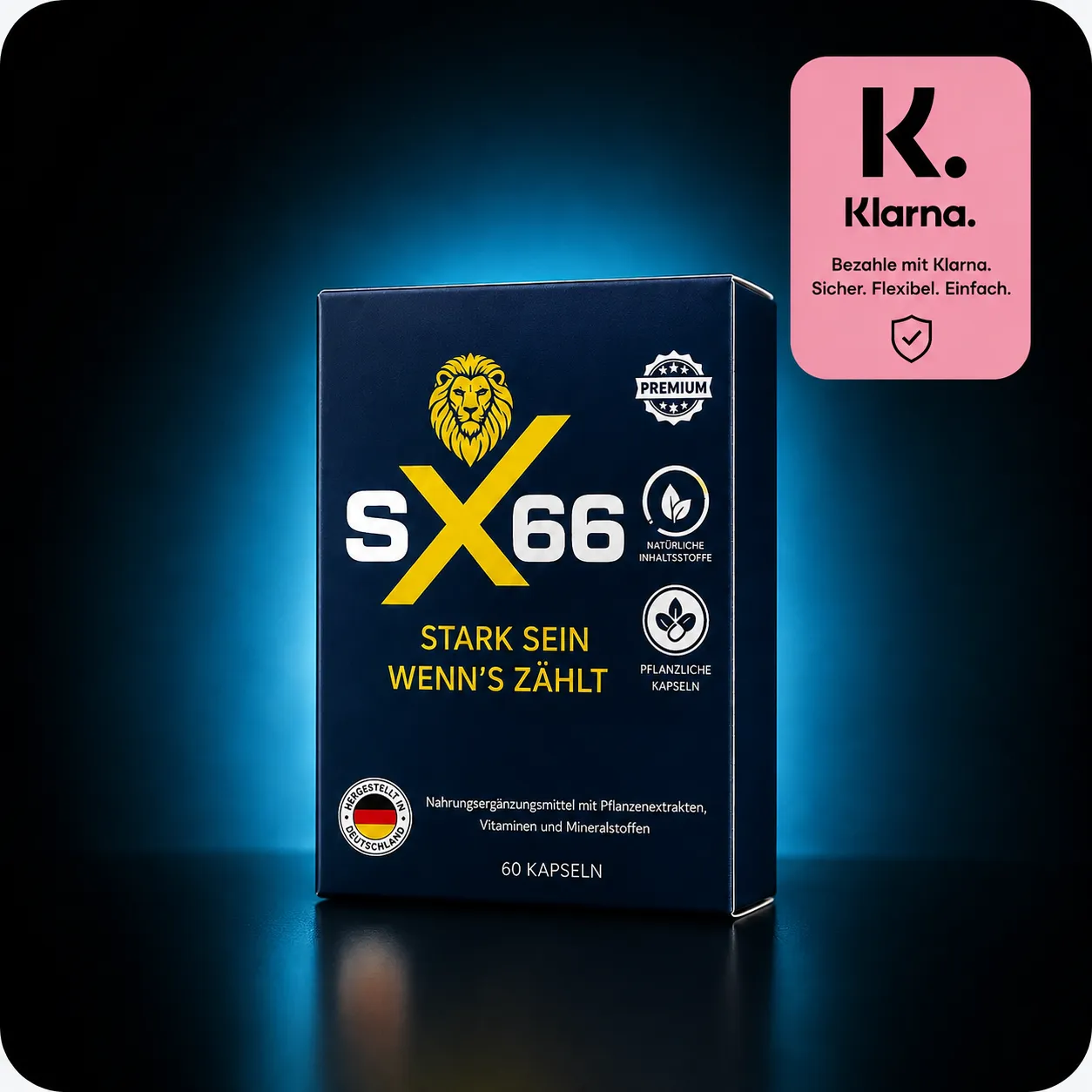 Klarna Kauf auf Rechnung SX66